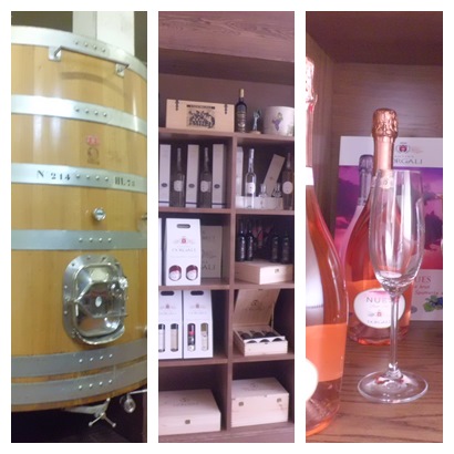 visita degustazione cantina Dorgali