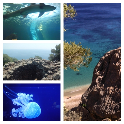 Tour Nuraghe mannu acquario cala gonone