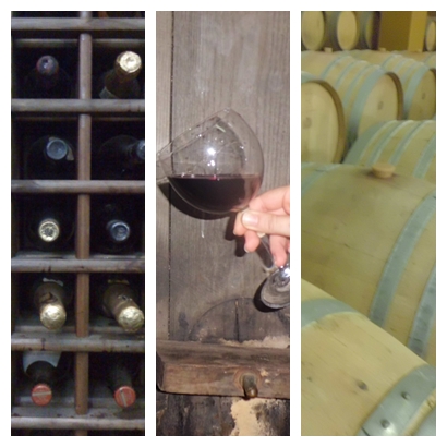 Cannonau wine tour - degustazione vini sardi